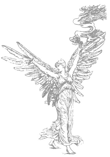 Image 11566