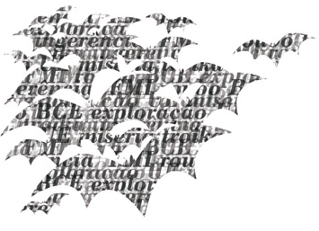 Image 7535
