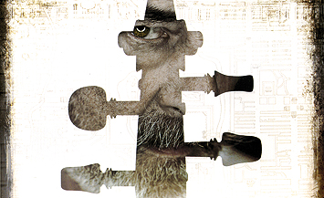 Image 9793